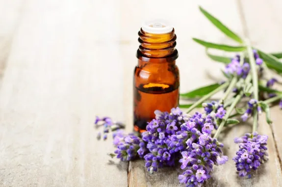 https://www.keralaspicesonline.com/product/sinoil-anti-allergic-oil---10...