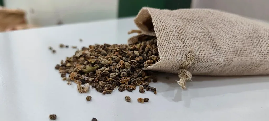 cardamom seeds