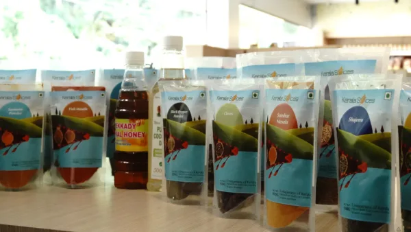 All In One Kerala Spices Kit (30Spices) - Image 3