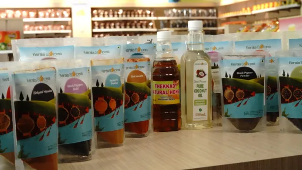 All In One Kerala Spices Kit (30Spices) - Image 4