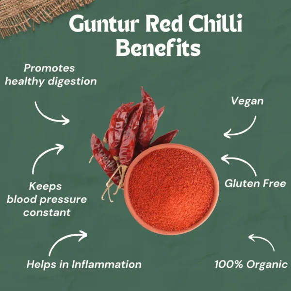 Gundur Red Chilly 100gm - Image 5