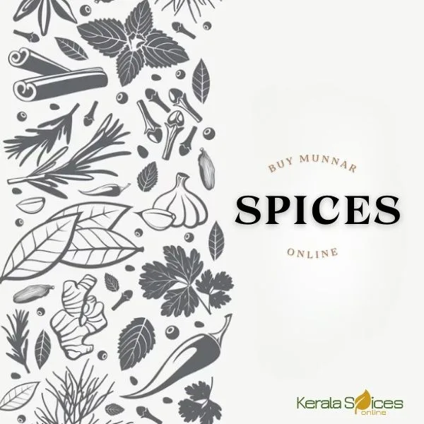 buy munnar spices online