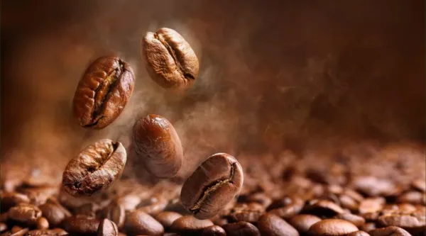 coffee powder from kerala