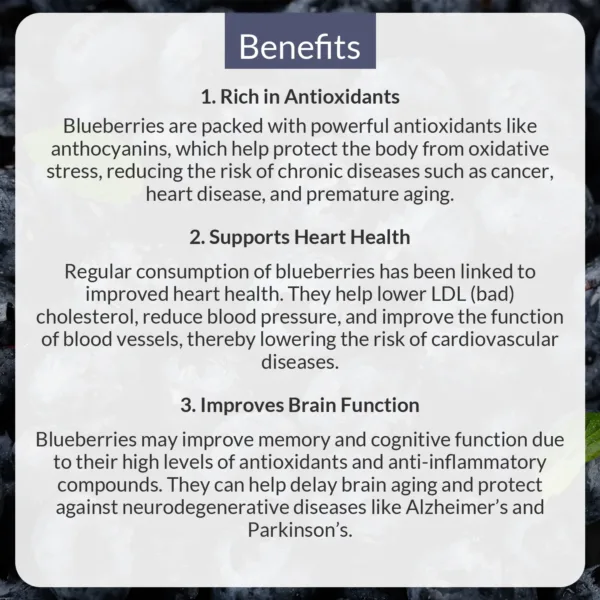 Blueberry 100gm - Image 5