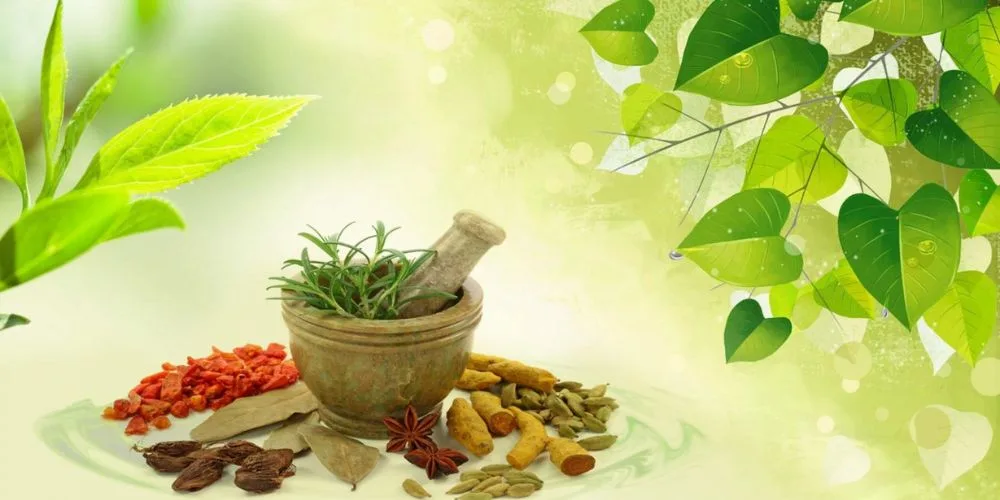 herbs in ayurcedic medicine