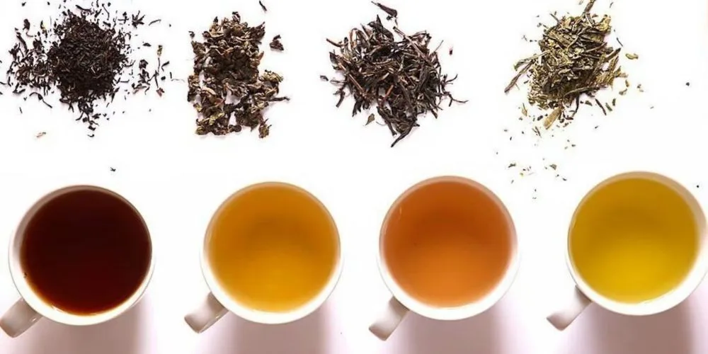organic tea leaves