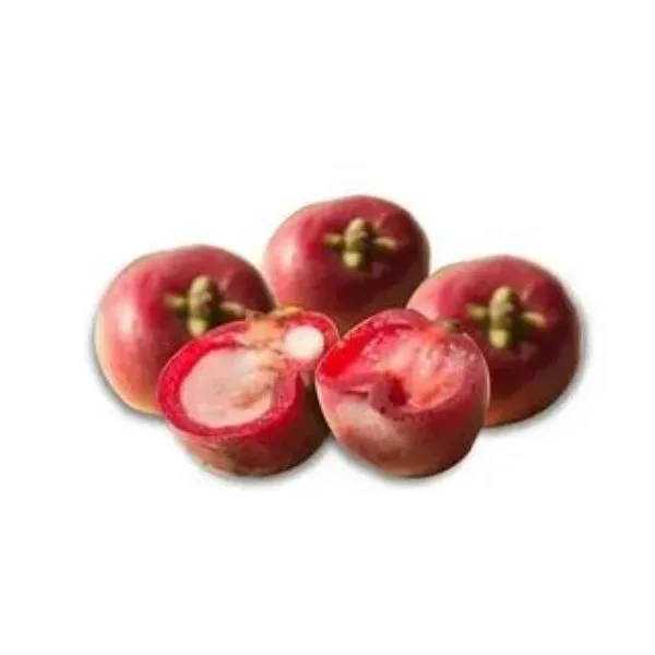 benefits of kokum