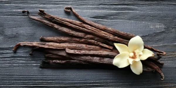 Premium Quality Vanilla Beans 10gm