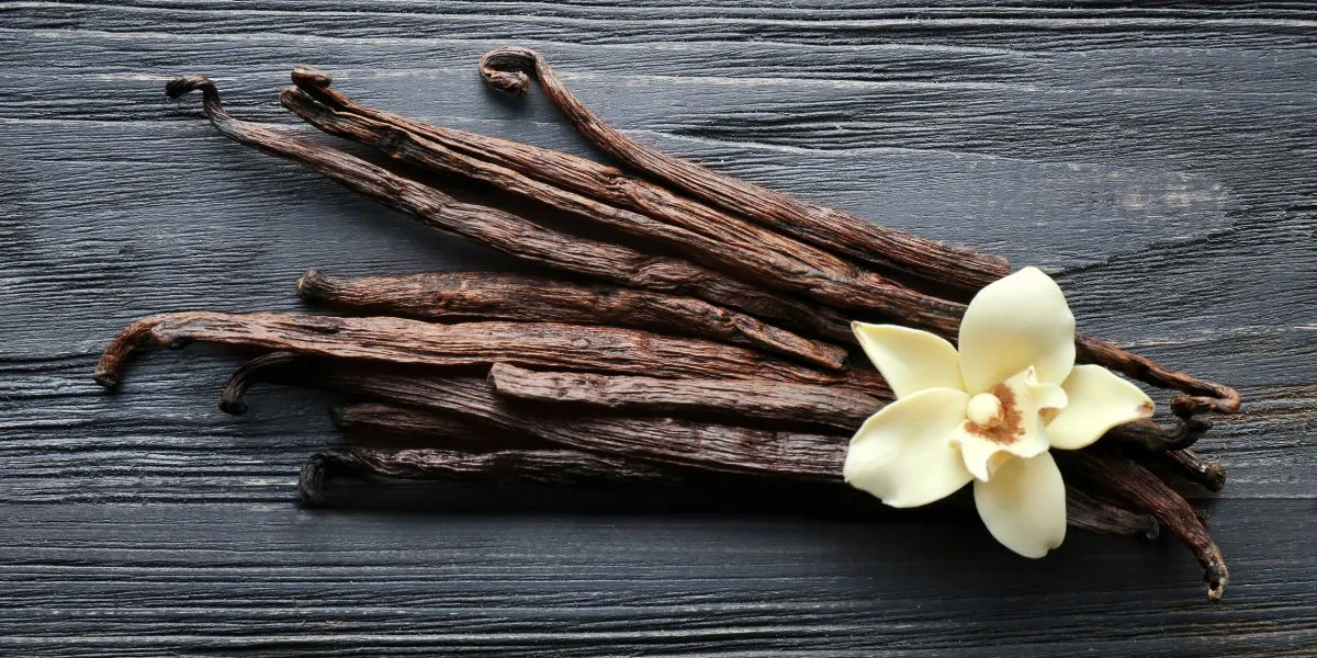 Best Vanilla Beans: The Secret Ingredient to Elevate Your Desserts