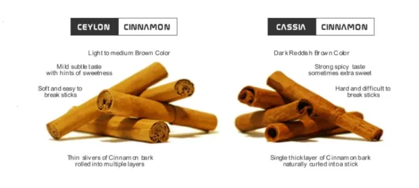 ceylon cinnamon vs cassia cinnamon