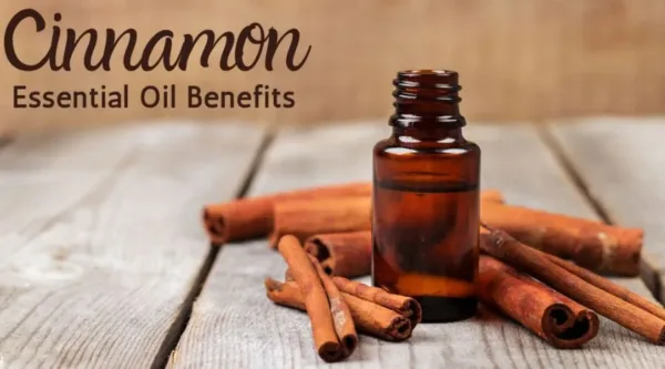 pure cinnamon oil