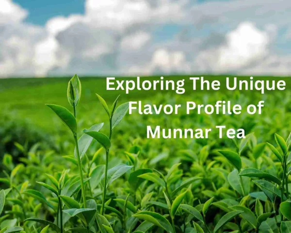 flavor profile of munnar tea