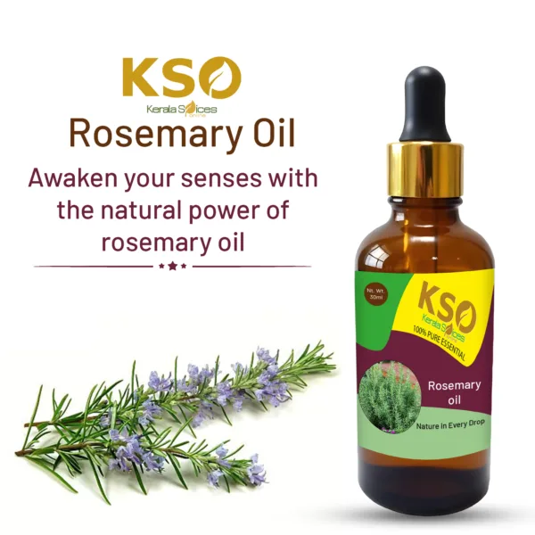 Rosemary Oil - 30 ml - Natural Aromatherapy & Hair Care - Image 2