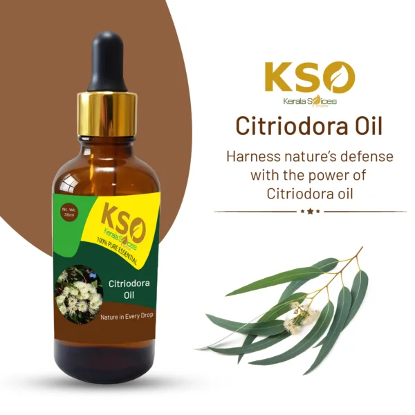 Citriodora Oil 50ml - Image 2