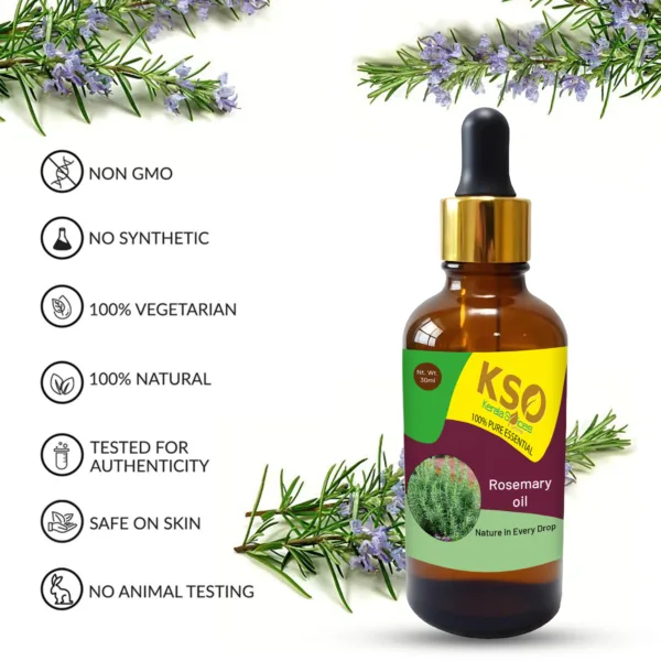 Rosemary Oil - 30 ml - Natural Aromatherapy & Hair Care - Image 4