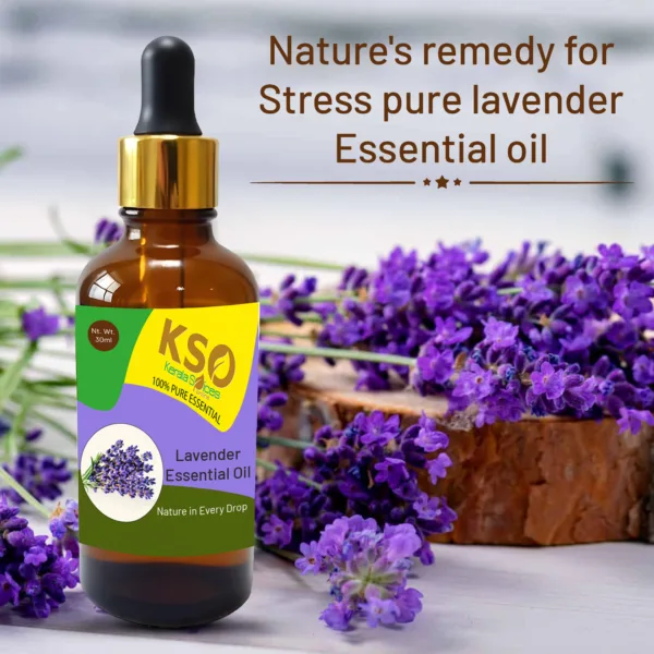 Lavender Oil - 30 ml - Image 2