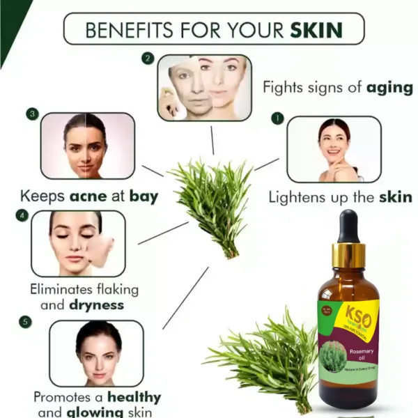 Rosemary Oil - 30 ml - Natural Aromatherapy & Hair Care - Image 5