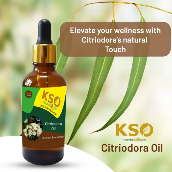 Citriodora Oil 50ml - Image 4