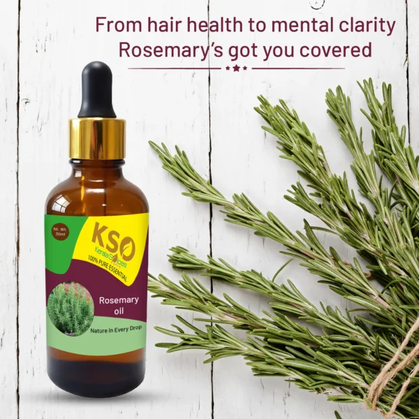 Rosemary Oil - 30 ml - Natural Aromatherapy & Hair Care - Image 3
