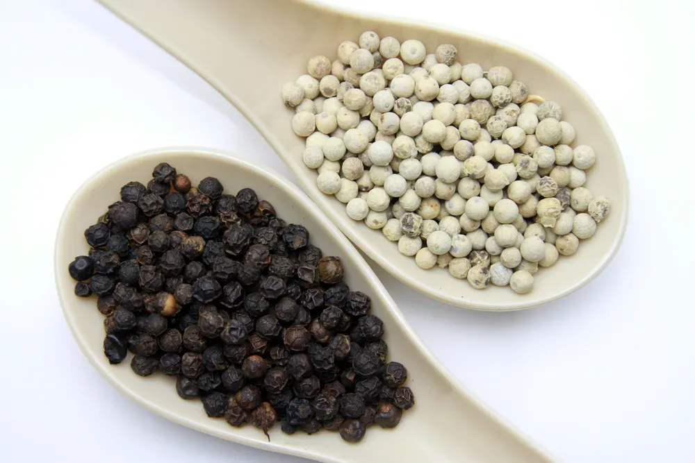 black pepper vs white pepper a comparison