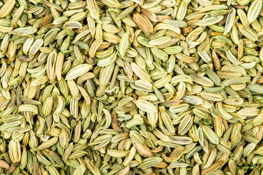 carom seeds benefits