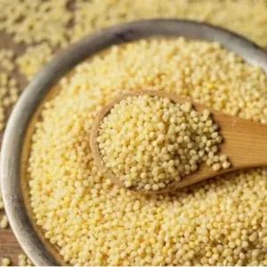 MILLET