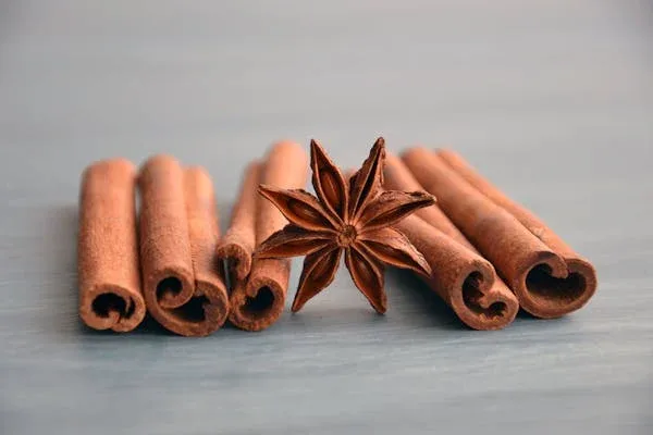 dalchini use in ayurveda