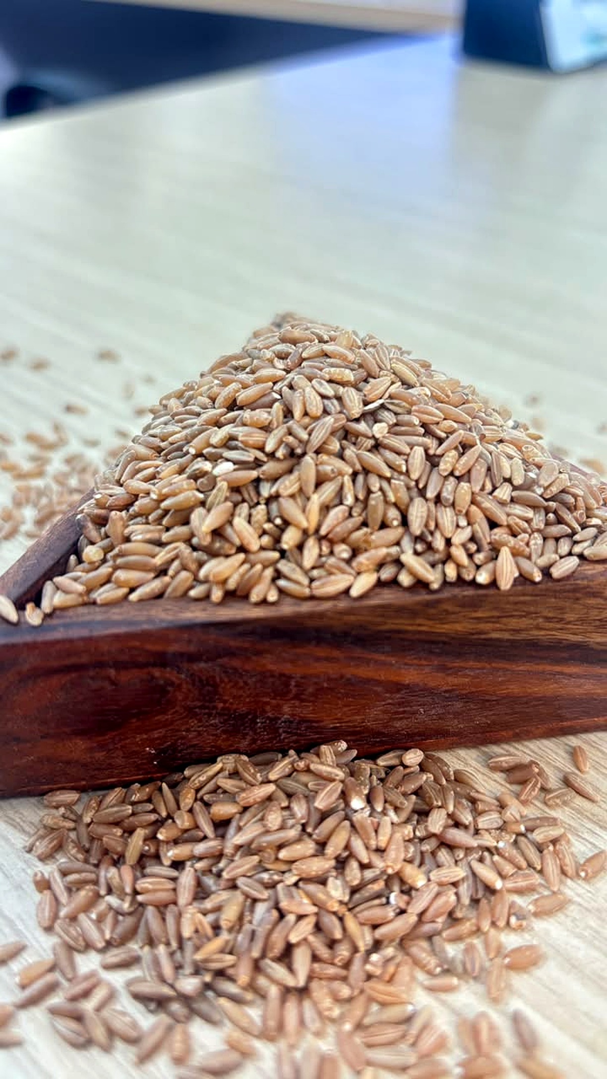 Authentic bamboo rice grains close-up showing pale green colour