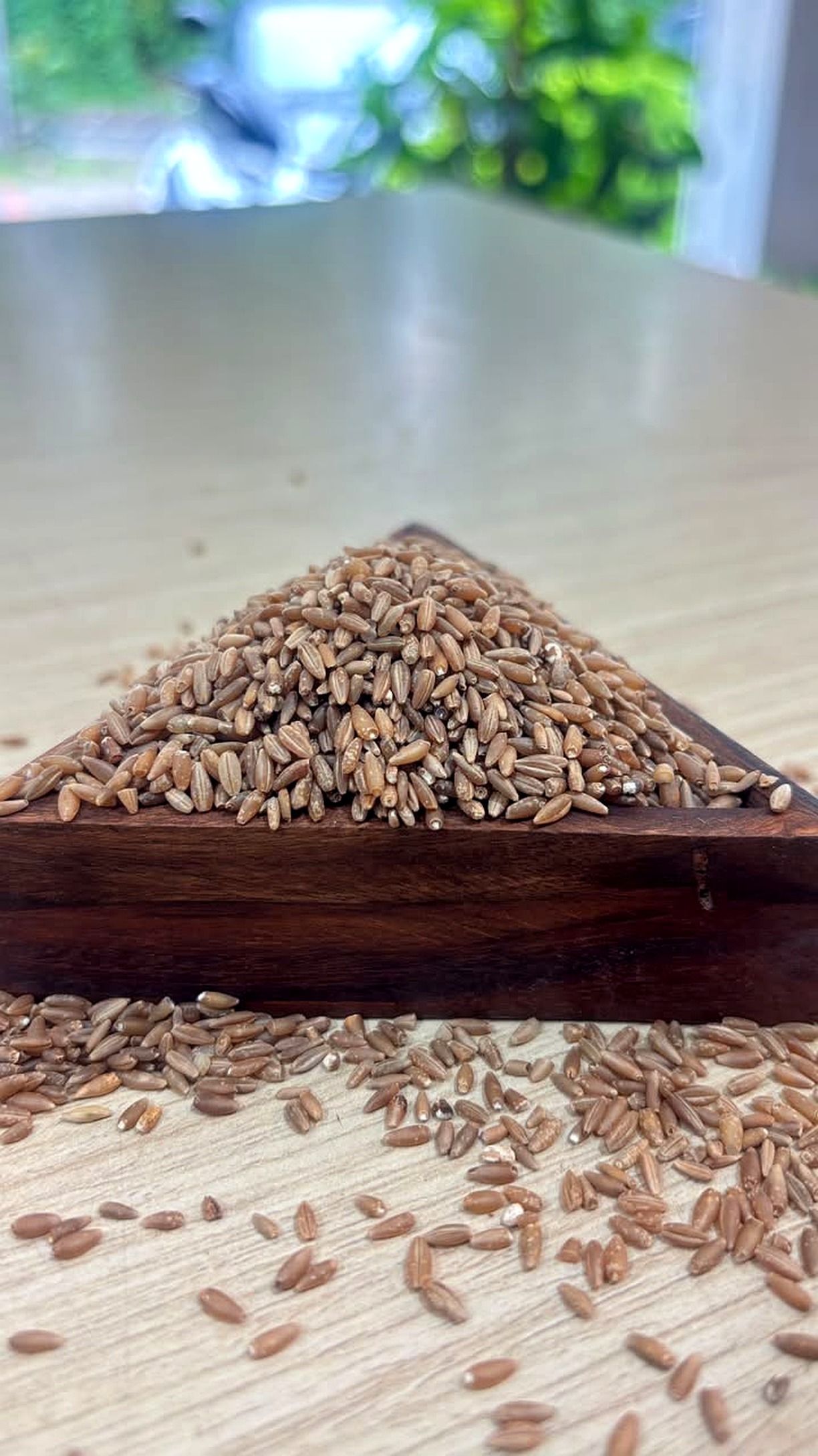 How to identify real bamboo rice by colour and shape