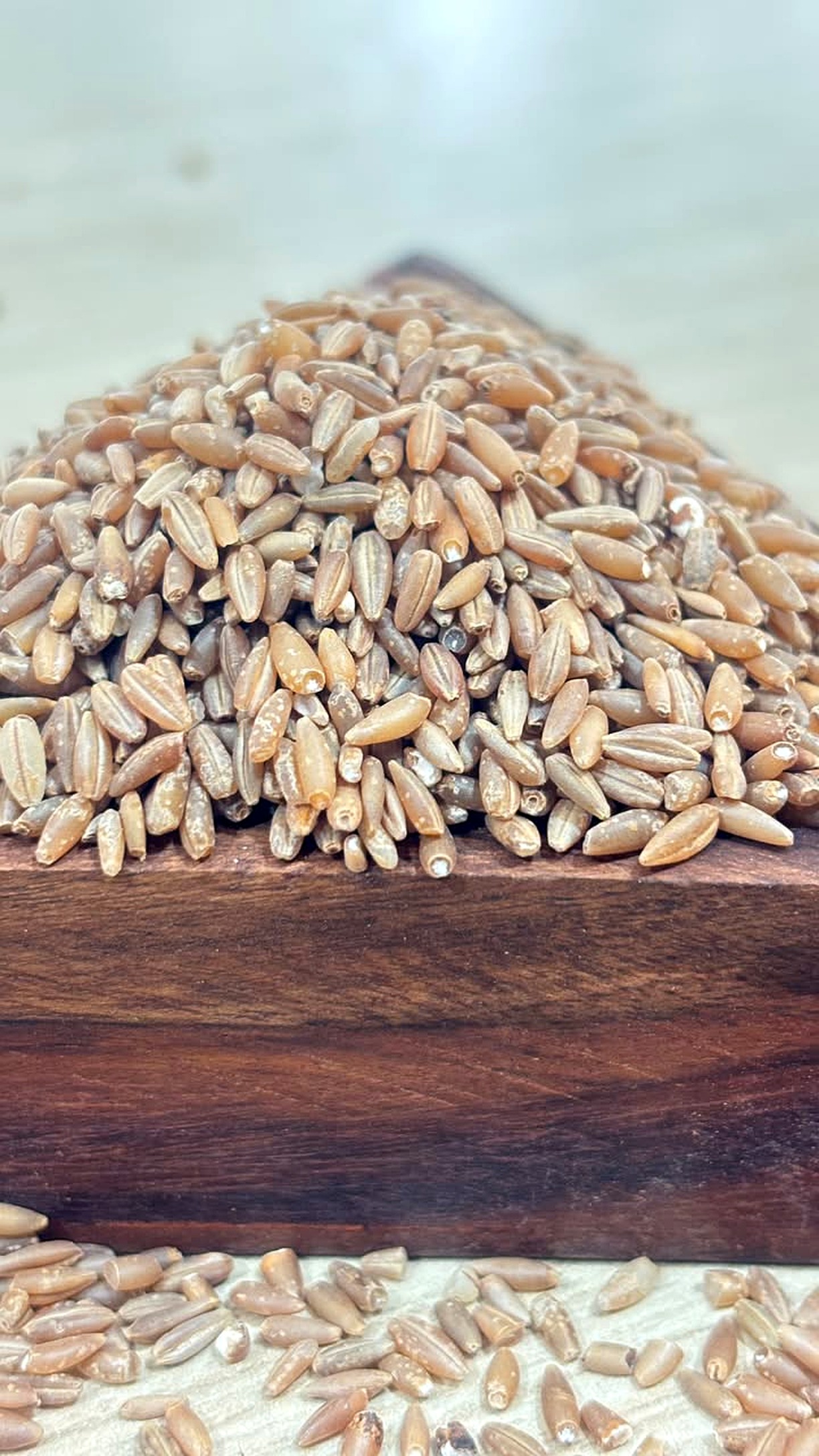 Macro view of bamboo rice — natural mineral-rich grain
